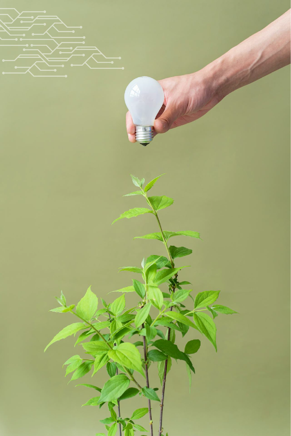 Imagen representativa de la categoría Innovación