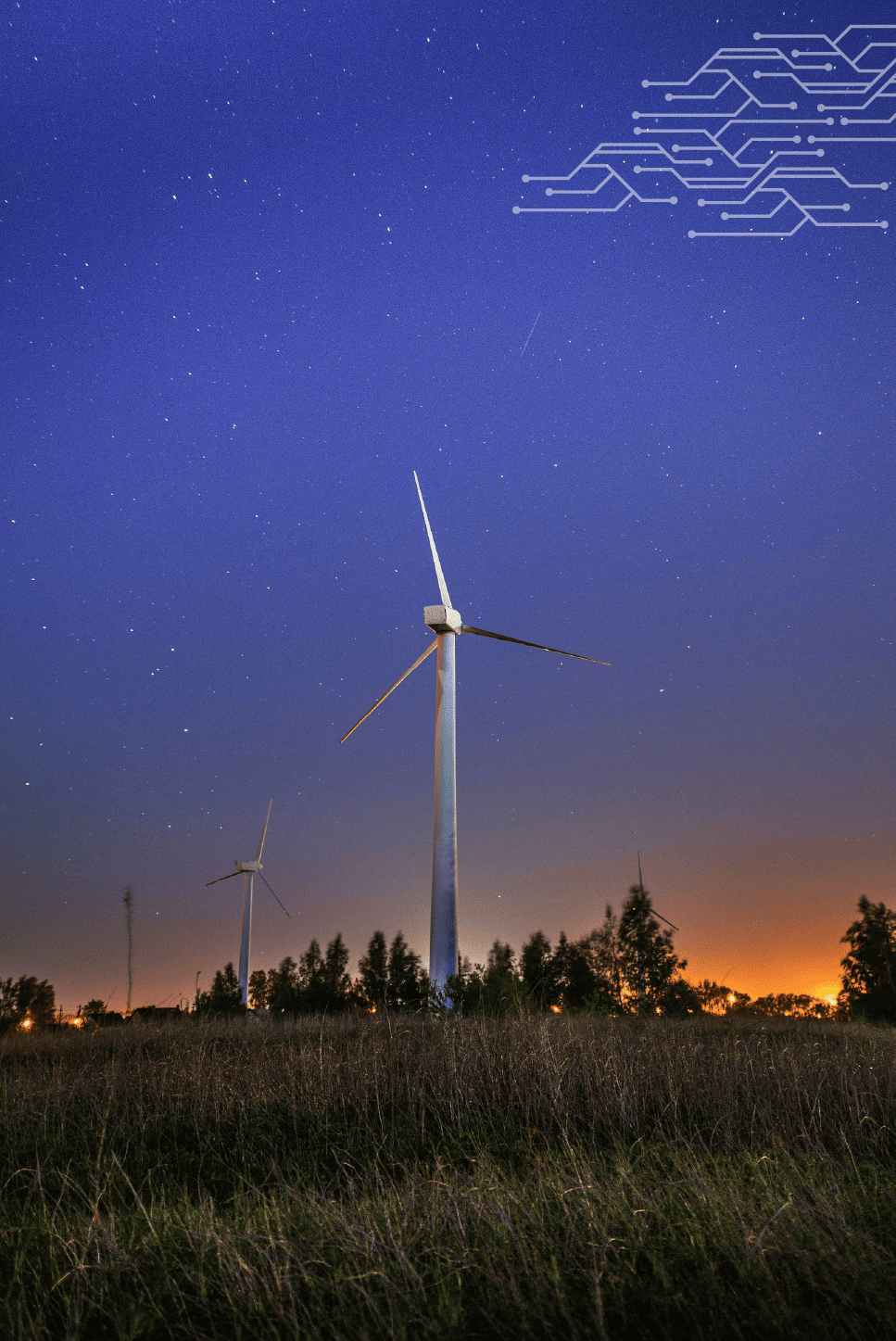 Imagen representativa de la categoría Investigación